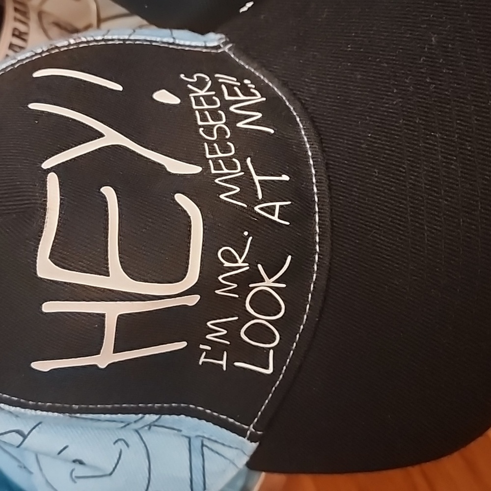Mr meeseeks Rick and morty SnapBack